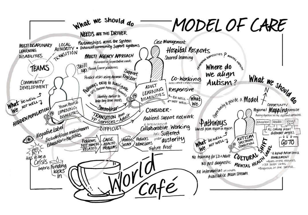 Model of Care Graphic